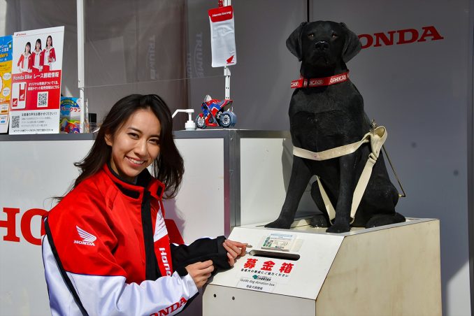 日本盲導犬協会の募金