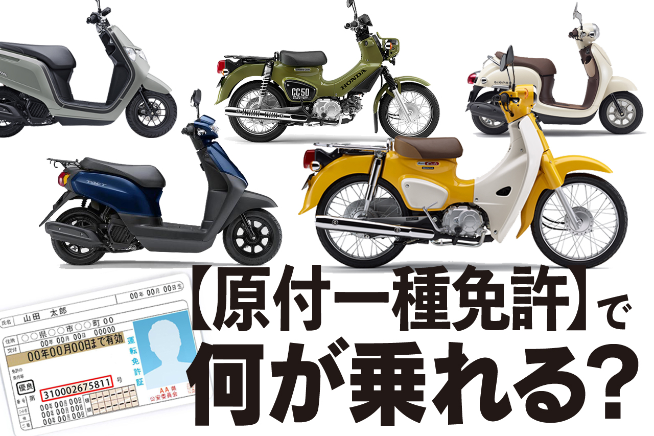 原付免許はどんなバイクに乗れる？ 排気量50㏄まで乗れるホンダ車は