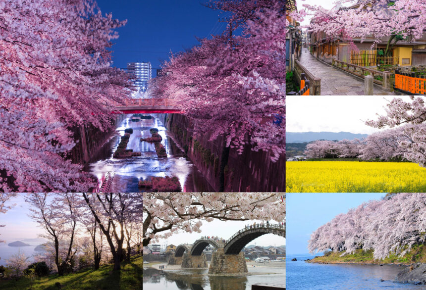 関西・中四国エリアの『桜の名所』はこの5ヶ所！春を探しにお花見ツーリング！【春のおすすめツーリング 桜 編 ／関西・中四国 編②】