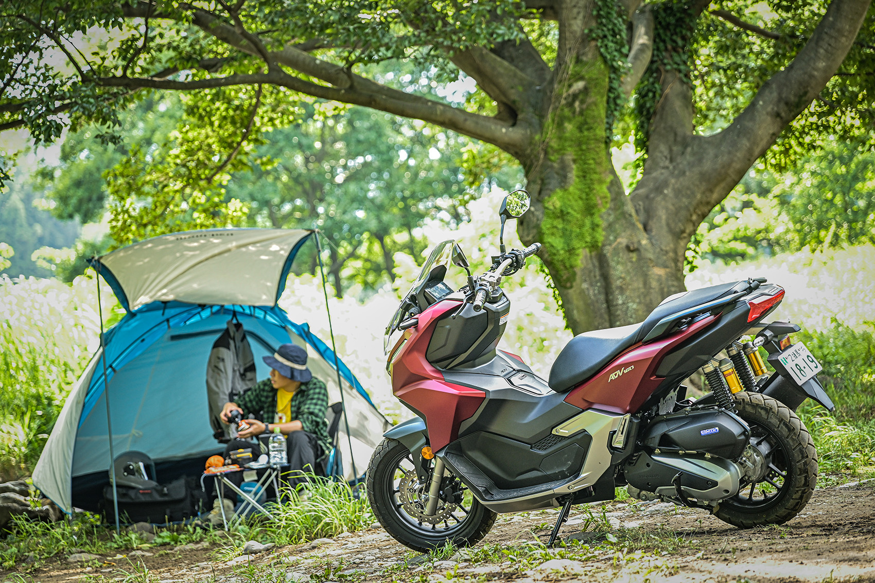 未舗装路も走りやすくて荷物もたくさん積める！Hondaのクロスオーバー