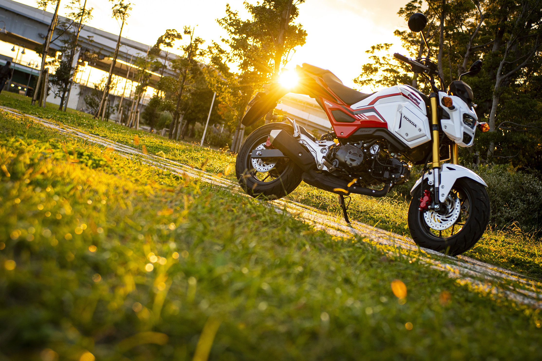 街乗りも最強 グロム がビギナーからベテランまで支持される3つの理由 原付二種で楽しむホンダのバイク 第2回 Honda Grom 後編 ホンダゴー バイクラボ