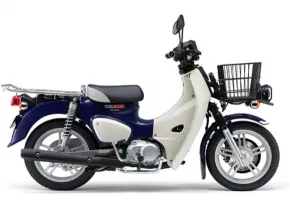 （有）タクボでスーパーカブ110プロをレンタル