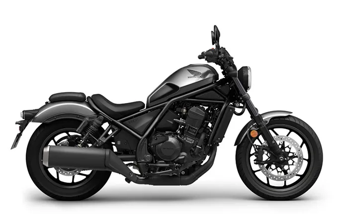 Rebel1100の写真